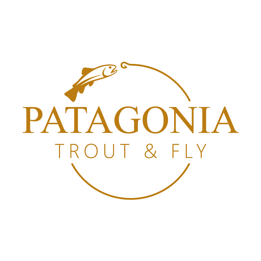 Patagonia fly fishing fishing in patagonia trout