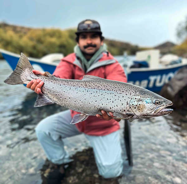 brown trout patagonia fish patagonia fly fish patagonia patagonia brook trout patagonia brown trout patagonia fish patagonia fishing patagonia fishing guides patagonia fishing trip patagonia fly fishing patagonia fly fishing book patagonia fly fishing company patagonia fly fishing guides patagonia fly fishing packages patagonia fly fishing trips patagonia flyfish patagonia rainbow trout patagonia trout rainbow trout patagonia