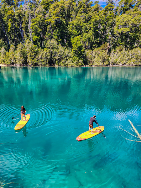 brown trout patagonia fish patagonia fly fish patagonia patagonia brook trout patagonia brown trout patagonia fish patagonia fishing patagonia fishing guides patagonia fishing trip patagonia fly fishing patagonia fly fishing book patagonia fly fishing company patagonia fly fishing guides patagonia fly fishing packages patagonia fly fishing trips patagonia flyfish patagonia rainbow trout patagonia trout rainbow trout patagonia