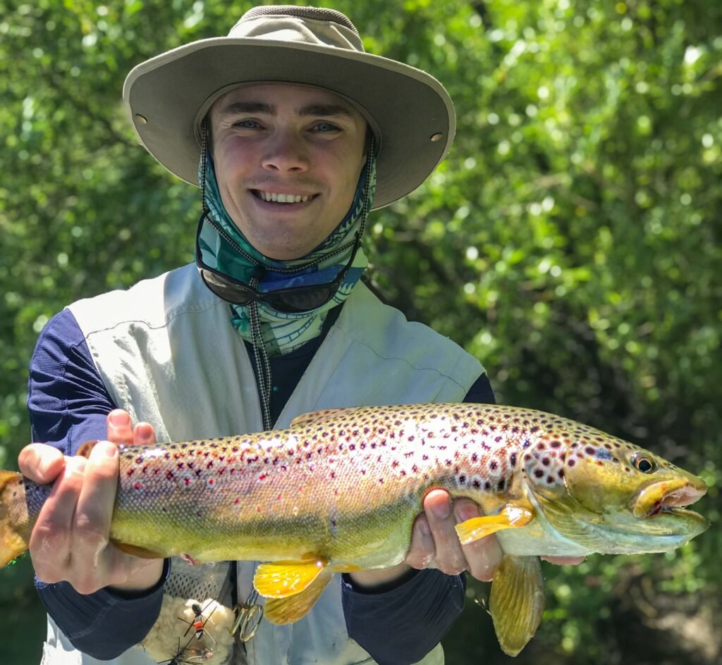 brown trout patagonia fish patagonia fly fish patagonia patagonia brook trout patagonia brown trout patagonia fish patagonia fishing patagonia fishing guides patagonia fishing trip patagonia fly fishing patagonia fly fishing book patagonia fly fishing company patagonia fly fishing guides patagonia fly fishing packages patagonia fly fishing trips patagonia flyfish patagonia rainbow trout patagonia trout rainbow trout patagonia